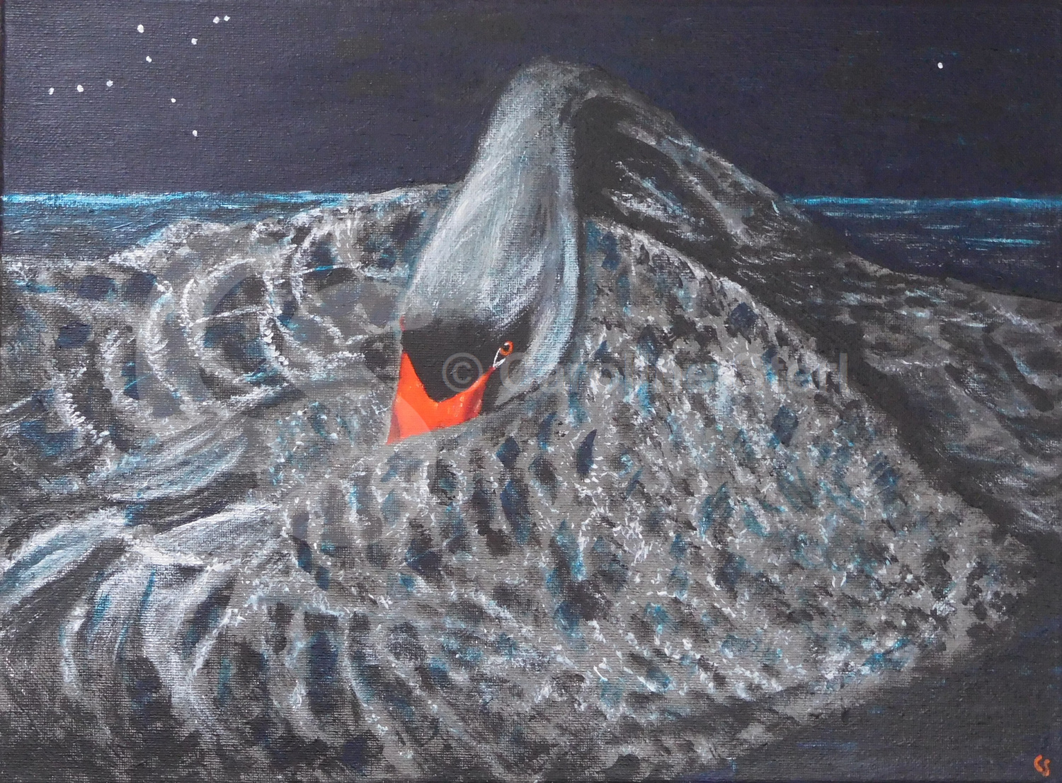Painting: Black Swan